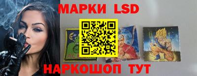 PSILOCYBIN Можга