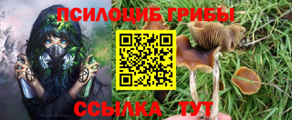 Великие Луки  Галлюциногенные грибы Psilocybe  Вход с VPN 