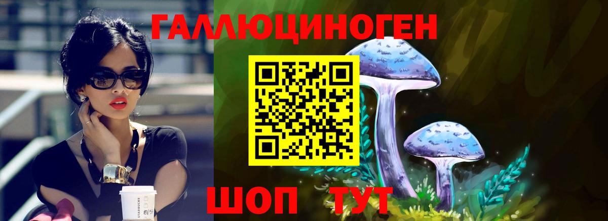 Галлюциногенные грибы Psilocybine cubensis Великие Луки
